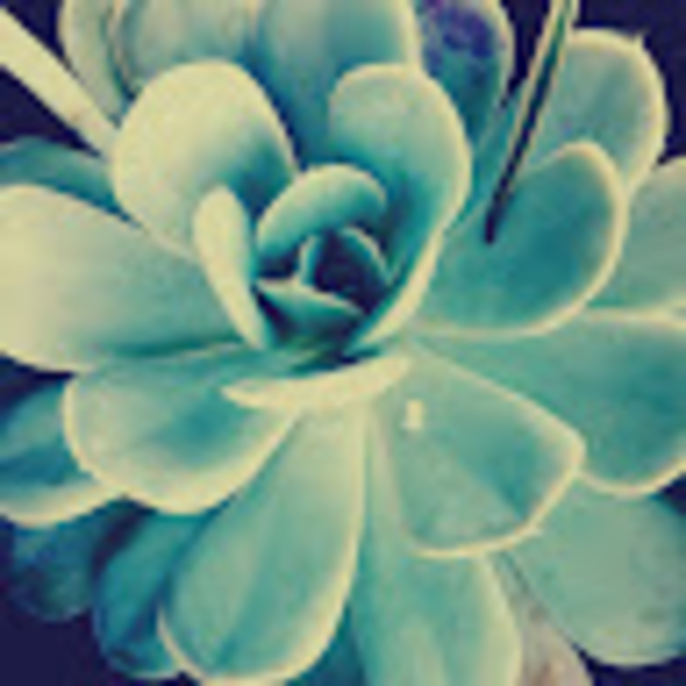 Meet your Posher, Robyn